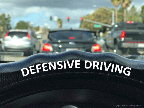Defensive Driving Wheel