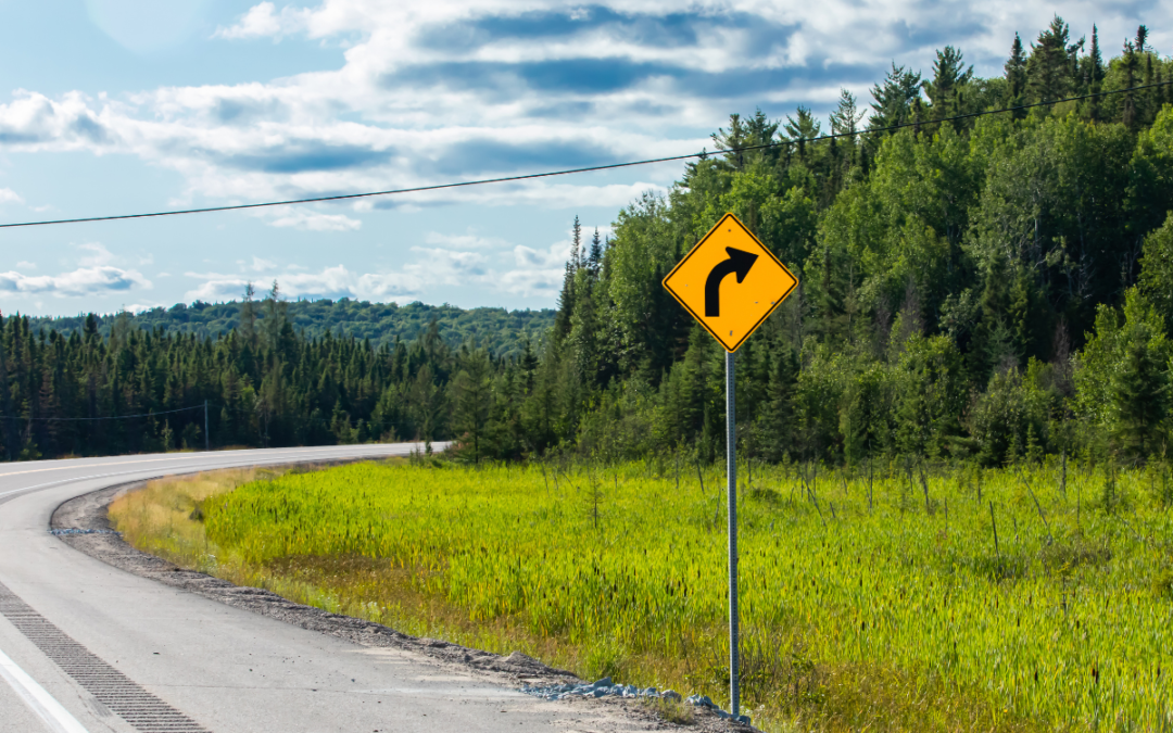 Speed Control | Navigating Hills, Curves, and Beyond